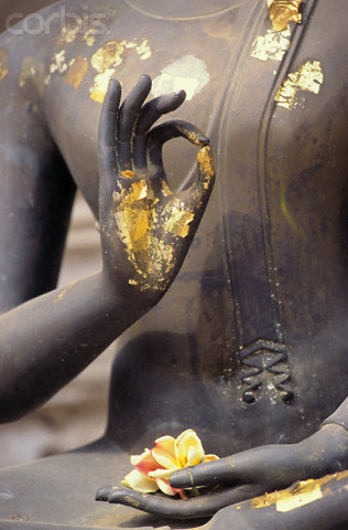 Rest and Renew…….