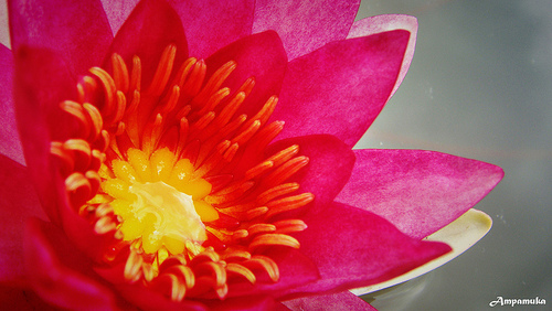 The Centre of Your Being…..