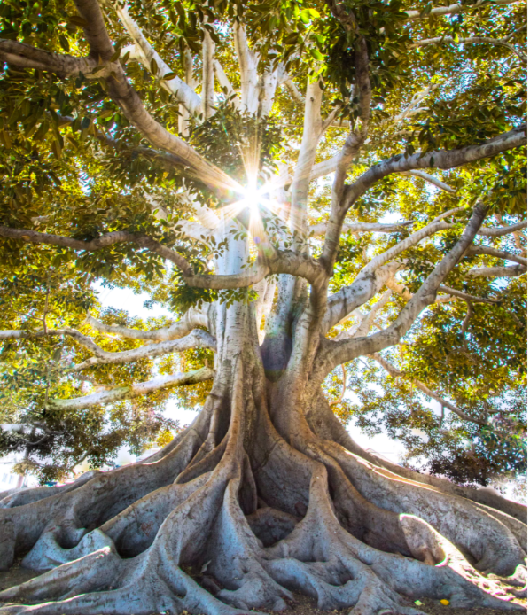 From Resistance to Acceptance and Resilience….