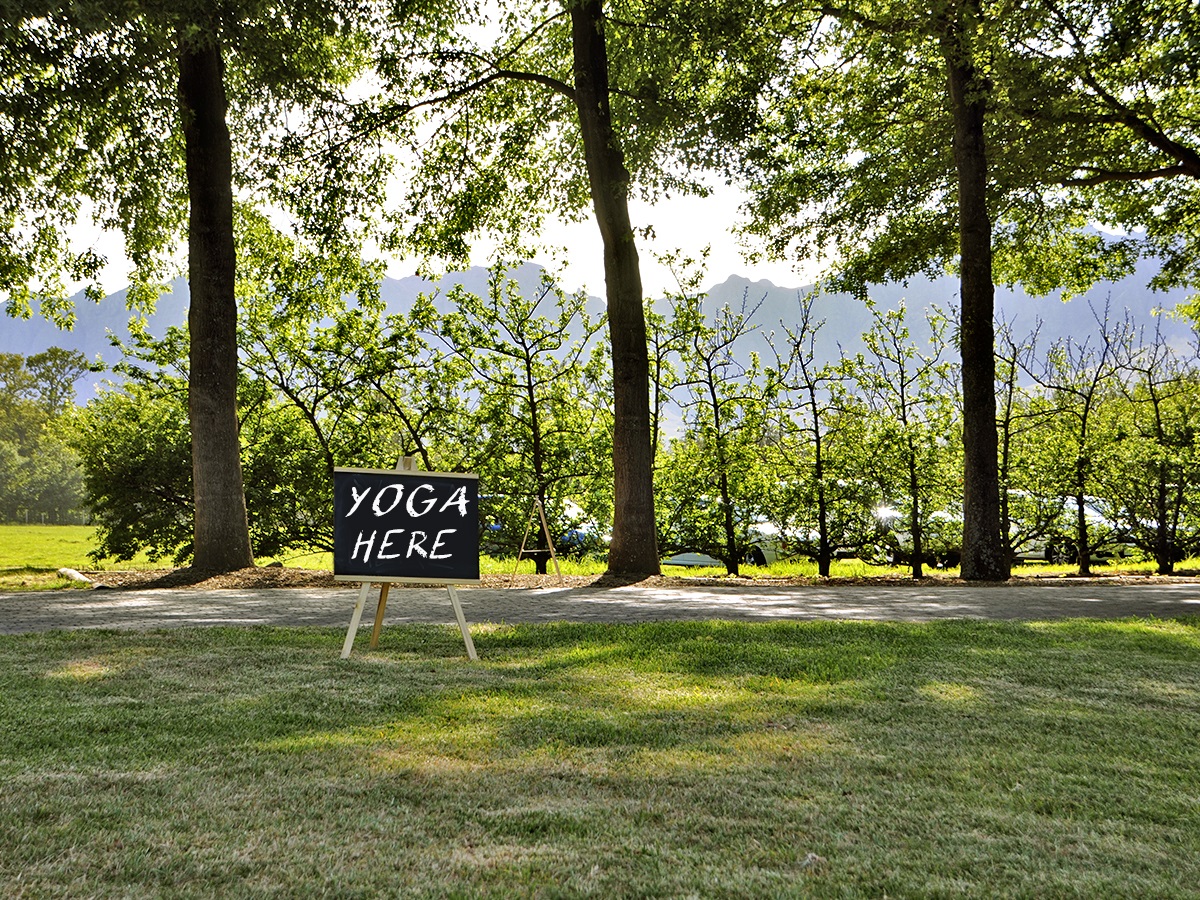 Life Retreat Studio Black Friday Special and Free Ayurveda Detox Booklet…..