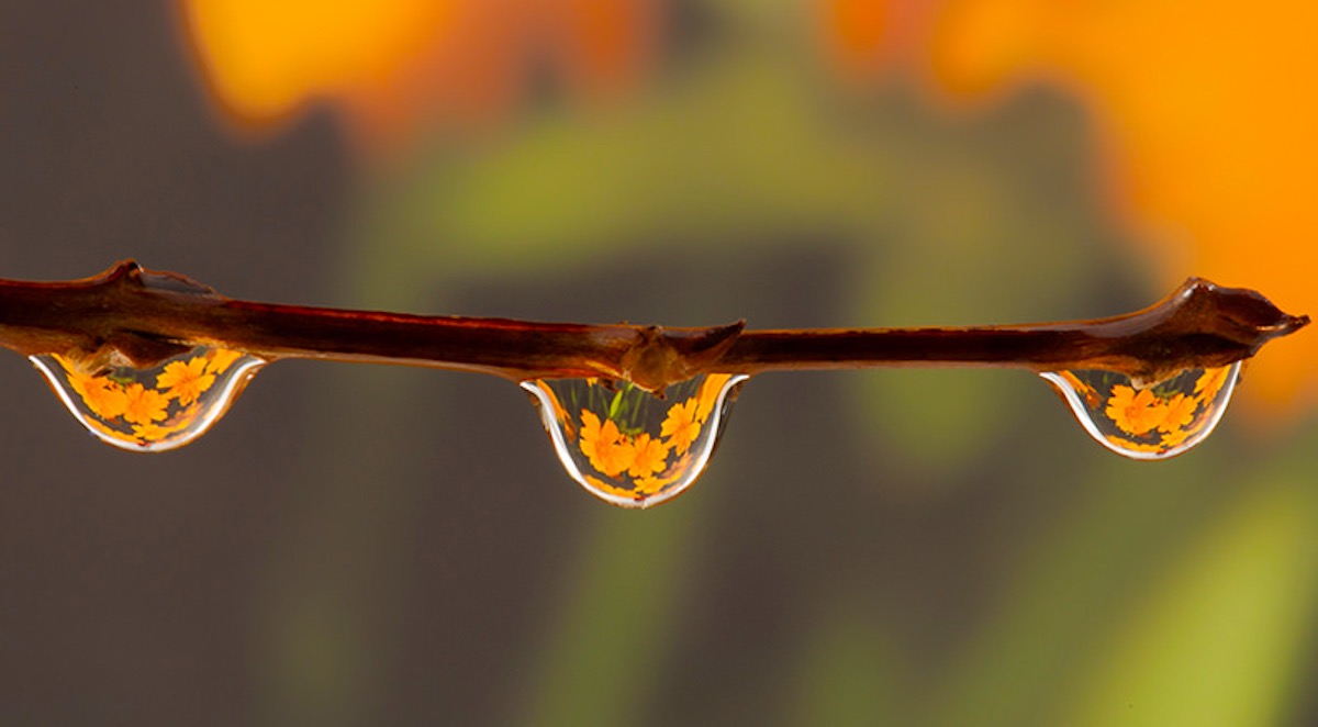 Your Three Greatest Treasures…..