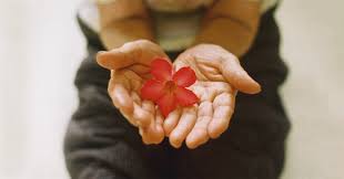 Allow For More Space With Heart Opening Asanas….