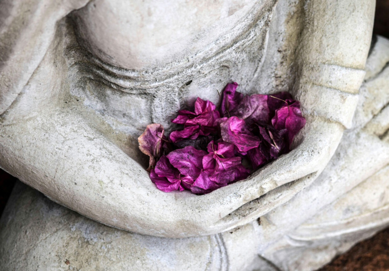 Breaking Down Asana……