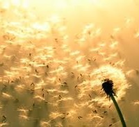 The Environment of Quite…….
